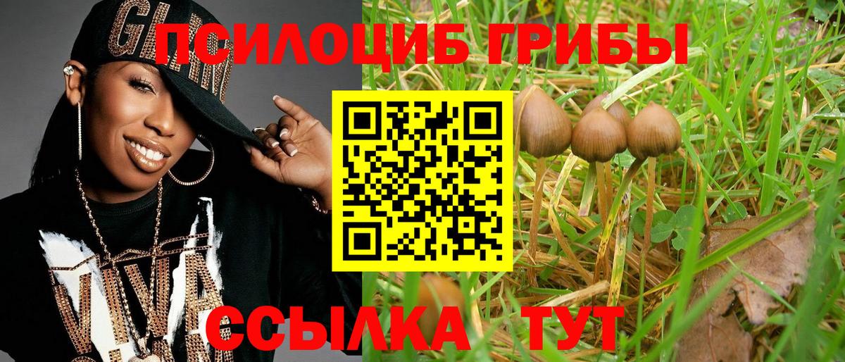Псилоцибиновые грибы MAGIC MUSHROOMS Новый Уренгой